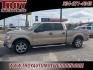 2013 Pale Adobe Metallic /Pale Adobe Ford F-150 XLT (1FTFW1CT8DK) with an 3.5L V6 engine, Automatic transmission, located at 6812 Atlanta Hwy, Montgomery, AL, 36117, (334) 271-4045, 32.382118, -86.178673 - Leather Interior!!<br>Premium 20 Wheels!!<br>Tow Package!!<br>Power Driver Seat!!<br>Back Up Camera!!<br> - Photo#0