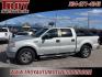 2007 Silver Clearcoat Metallic /Medium Flint Ford F-150 (1FTRW12W87K) with an 4.6L V8 EFI engine, Automatic transmission, located at 6812 Atlanta Hwy, Montgomery, AL, 36117, (334) 271-4045, 32.382118, -86.178673 - Alloy wheels!!<br>Tow Package!!<br>Excellent Condition!! - Photo#2