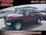 2008 Brick /Dark Charcoal Toyota FJ Cruiser Base (JTEZU11FX8K) with an 4.0L V6 DOHC VVT-i 24V engine, Automatic transmission, located at 6812 Atlanta Hwy, Montgomery, AL, 36117, (334) 271-4045, 32.382118, -86.178673 - Brick 2008 Toyota FJ Cruiser RWD 4.0L V6 DOHC VVT-i 24V 5-Speed Automatic<br><br>Financing Available---Top Value for Trades.<br><br><br>Awards:<br> * 2008 KBB.com Brand Image Awards<br><br>Reviews:<br> * Whether youre drawn to it as a comfortable and versatile daily driver, a weekend off-roader or - Photo#5