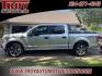 2019 Ingot Silver /Black Ford F-150 XL (1FTEW1C56KF) with an 5.0L V8 engine, Automatic transmission, located at 6812 Atlanta Hwy, Montgomery, AL, 36117, (334) 271-4045, 32.382118, -86.178673 - 1-Owner!!<br>STX Package!!<br>Premium 20 Wheels!!<br>Tow Package!!<br>Power Windows and Locks!! - Photo#0