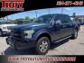 2016 Blue Jeans Metallic /Medium Light Camel Ford F-150 Lariat (1FTEW1EGXGF) with an 3.5L V6 engine, Automatic transmission, located at 6812 Atlanta Hwy, Montgomery, AL, 36117, (334) 271-4045, 32.382118, -86.178673 - Photo#3