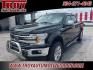 2019 Black Metallic /Black Ford F-150 Lariat (1FTEW1E52KK) with an 5.0L V8 engine, Automatic transmission, located at 6812 Atlanta Hwy, Montgomery, AL, 36117, (334) 271-4045, 32.382118, -86.178673 - Black Metallic 2019 Ford F-150 Lariat 4WD 5.0L V8 10-Speed Automatic<br><br>Financing Available---Top Value for Trades. - Photo#5