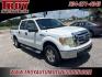 2009 Oxford White Clearcoat /Tan/Camel Ford F-150 XLT (1FTRW12839F) with an 4.6L V8 EFI 24V engine, Automatic transmission, located at 6812 Atlanta Hwy, Montgomery, AL, 36117, (334) 271-4045, 32.382118, -86.178673 - Alloys!!<br>Hard Bed Cover!!<br>Tow Package!! - Photo#6