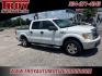 2009 Oxford White Clearcoat /Tan/Camel Ford F-150 XLT (1FTRW12839F) with an 4.6L V8 EFI 24V engine, Automatic transmission, located at 6812 Atlanta Hwy, Montgomery, AL, 36117, (334) 271-4045, 32.382118, -86.178673 - Alloys!!<br>Hard Bed Cover!!<br>Tow Package!! - Photo#7