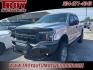 2019 Ingot Silver Metallic /Medium Earth Gray Ford F-150 (1FTEW1E50KF) with an 5.0L V8 engine, Automatic transmission, located at 6812 Atlanta Hwy, Montgomery, AL, 36117, (334) 271-4045, 32.382118, -86.178673 - Rough Country Lift Kit!<br>New 35x12.50x20 Tires!!- Photo#3