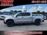 2022 Silver Ice Metallic /Jet Black Chevrolet Silverado 1500 LTD Custom Trail Boss (1GCPYCEL0NZ) with an EcoTec3 6.2L V8 engine, Automatic transmission, located at 6812 Atlanta Hwy, Montgomery, AL, 36117, (334) 271-4045, 32.382118, -86.178673 - Silver Ice Metallic 2022 Chevrolet Silverado 1500 LTD Custom Trail Boss 4WD EcoTec3 6.2L V8 10-Speed Automatic<br><br>Financing Available---Top Value for Trades.<br><br>Odometer is 22250 miles below market average!- Photo#0