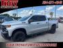 2022 Silver Ice Metallic /Jet Black Chevrolet Silverado 1500 LTD Custom Trail Boss (1GCPYCEL0NZ) with an EcoTec3 6.2L V8 engine, Automatic transmission, located at 6812 Atlanta Hwy, Montgomery, AL, 36117, (334) 271-4045, 32.382118, -86.178673 - Silver Ice Metallic 2022 Chevrolet Silverado 1500 LTD Custom Trail Boss 4WD EcoTec3 6.2L V8 10-Speed Automatic<br><br>Financing Available---Top Value for Trades.<br><br>Odometer is 22250 miles below market average!- Photo#2