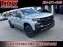 2022 Silver Ice Metallic /Jet Black Chevrolet Silverado 1500 LTD Custom Trail Boss (1GCPYCEL0NZ) with an EcoTec3 6.2L V8 engine, Automatic transmission, located at 6812 Atlanta Hwy, Montgomery, AL, 36117, (334) 271-4045, 32.382118, -86.178673 - Silver Ice Metallic 2022 Chevrolet Silverado 1500 LTD Custom Trail Boss 4WD EcoTec3 6.2L V8 10-Speed Automatic<br><br>Financing Available---Top Value for Trades.<br><br>Odometer is 22250 miles below market average!- Photo#7