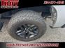 2022 Silver Ice Metallic /Jet Black Chevrolet Silverado 1500 LTD Custom Trail Boss (1GCPYCEL0NZ) with an EcoTec3 6.2L V8 engine, Automatic transmission, located at 6812 Atlanta Hwy, Montgomery, AL, 36117, (334) 271-4045, 32.382118, -86.178673 - Silver Ice Metallic 2022 Chevrolet Silverado 1500 LTD Custom Trail Boss 4WD EcoTec3 6.2L V8 10-Speed Automatic<br><br>Financing Available---Top Value for Trades.<br><br>Odometer is 22250 miles below market average!- Photo#20