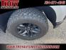 2022 Silver Ice Metallic /Jet Black Chevrolet Silverado 1500 LTD Custom Trail Boss (1GCPYCEL0NZ) with an EcoTec3 6.2L V8 engine, Automatic transmission, located at 6812 Atlanta Hwy, Montgomery, AL, 36117, (334) 271-4045, 32.382118, -86.178673 - Silver Ice Metallic 2022 Chevrolet Silverado 1500 LTD Custom Trail Boss 4WD EcoTec3 6.2L V8 10-Speed Automatic<br><br>Financing Available---Top Value for Trades.<br><br>Odometer is 22250 miles below market average!- Photo#24